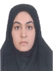 شیرین رحمن زاده.jpg